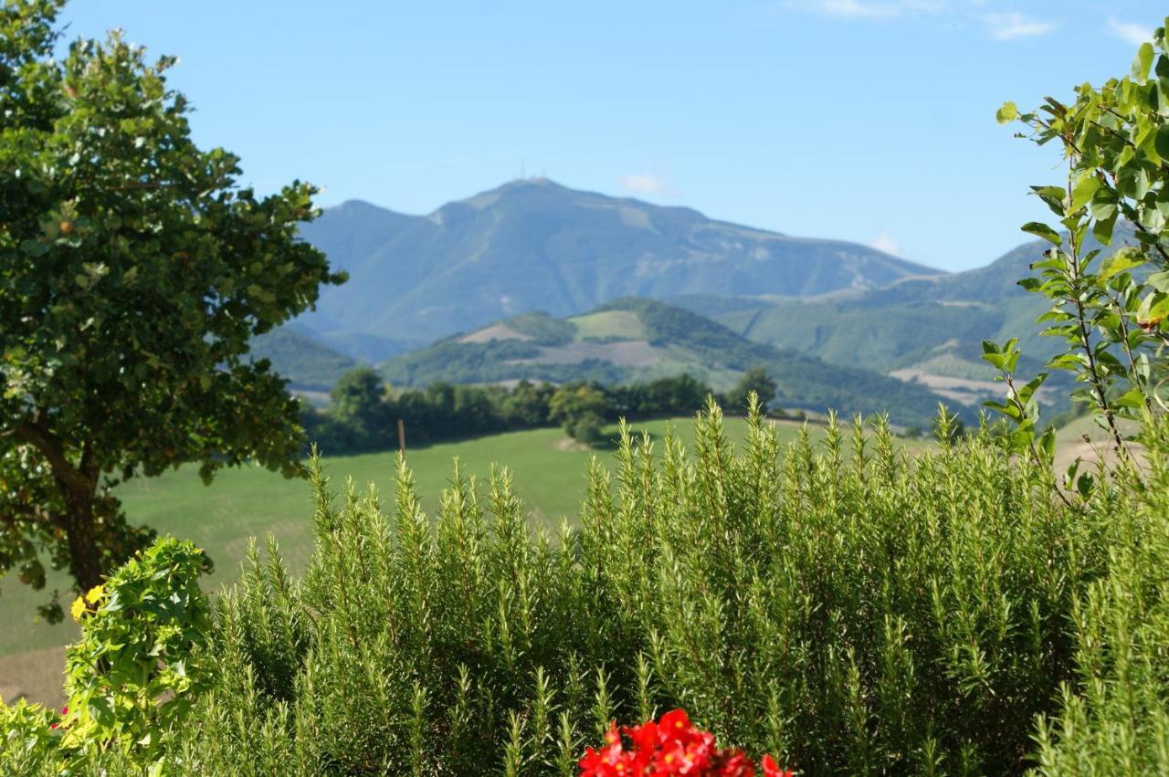 B&B Fox'S Hill Urbania Exterior foto